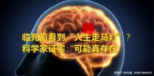 人生走马灯,流转岁月中的光影记忆