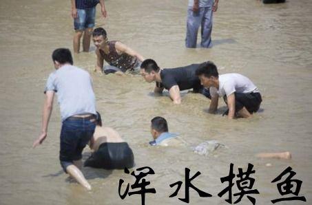 我在深宫浑水摸鱼,我在浑水摸鱼的宫廷生涯