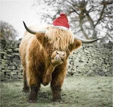 天生好玩,探索儿童快乐成长的奥秘